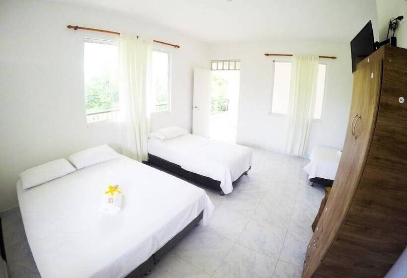 Отель Mastranto