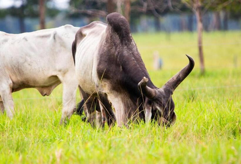 هتل Paloverde Villas Campestres