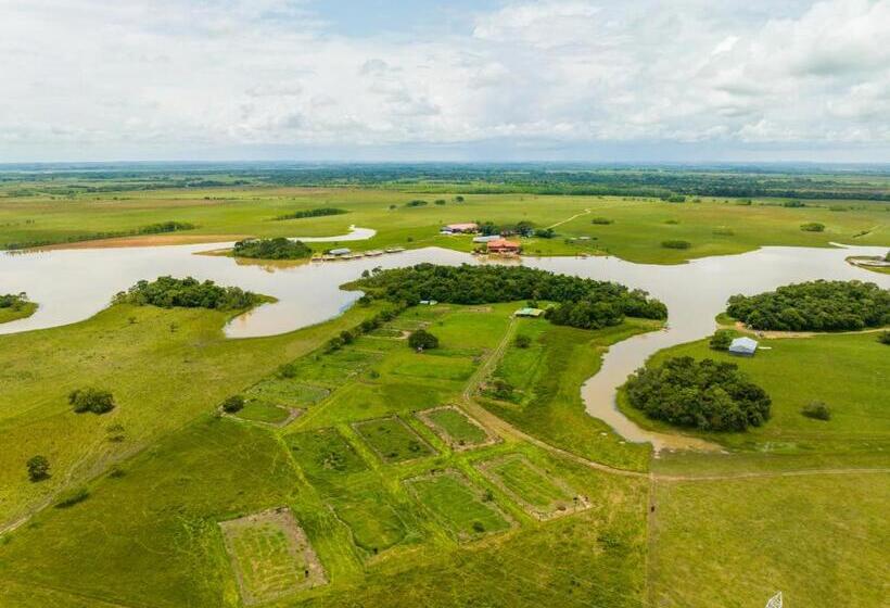 Отель Paloverde Villas Campestres