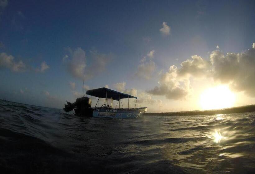 هتل Posada Donde Pilo Avila