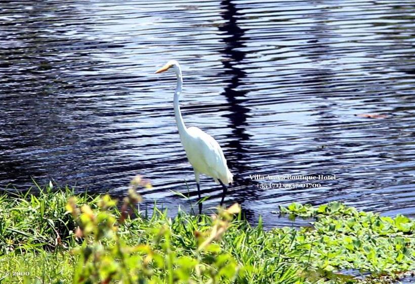 هتل Villa Araçà   Boutique