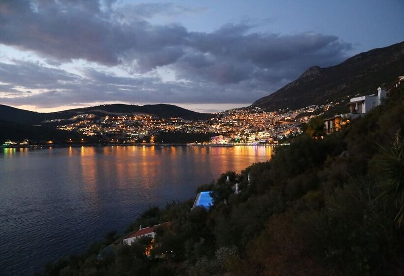 酒店 Villa Mahal   Adults Only