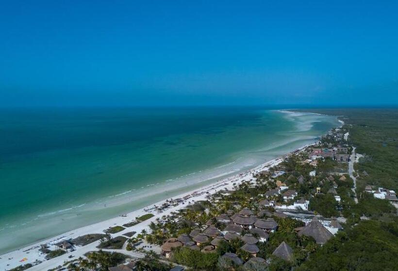 فندق Villas Margaritas Holbox