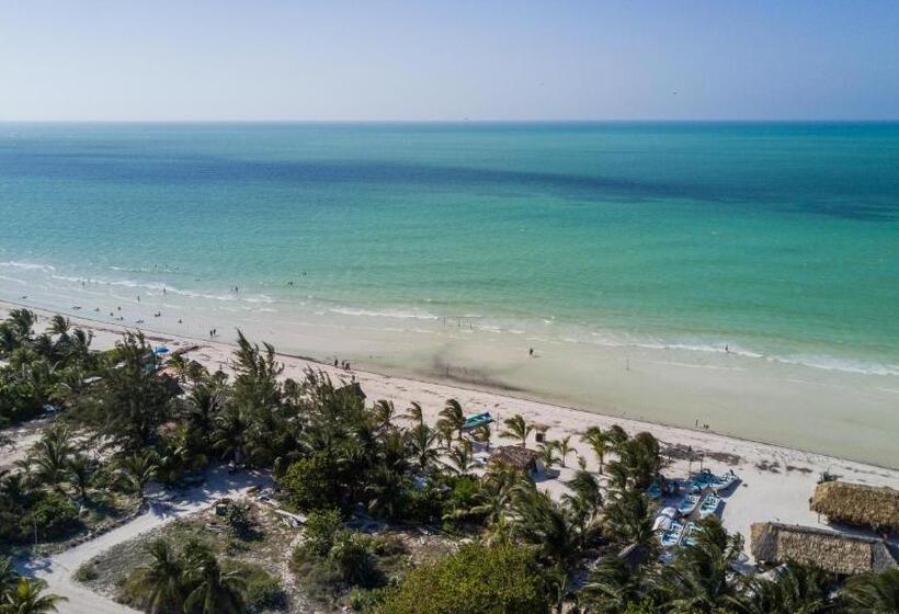 فندق Villas Margaritas Holbox