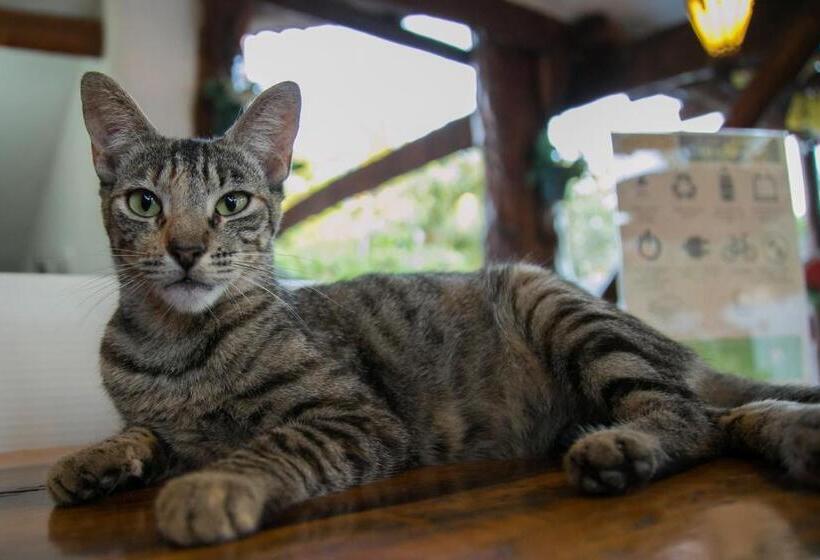 فندق Villas Margaritas Holbox