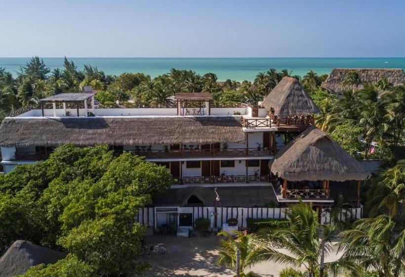 فندق Villas Margaritas Holbox