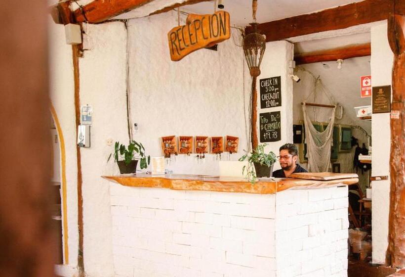 فندق Villas Margaritas Holbox