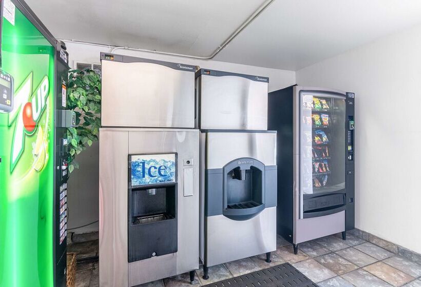 Motel 6   Pensacola West