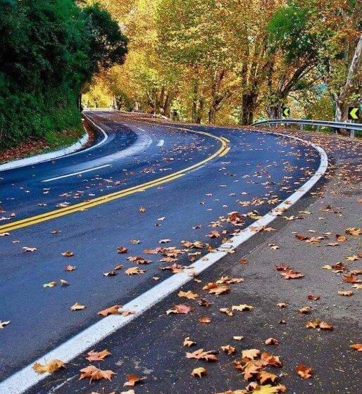 הוסטל Pousada Ananda