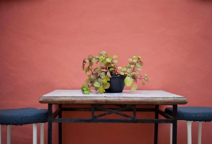 مبيت وإفطار Suítes Casa Maembippe