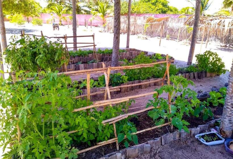مبيت وإفطار Castelo Vendom Ecolodge Parajuru