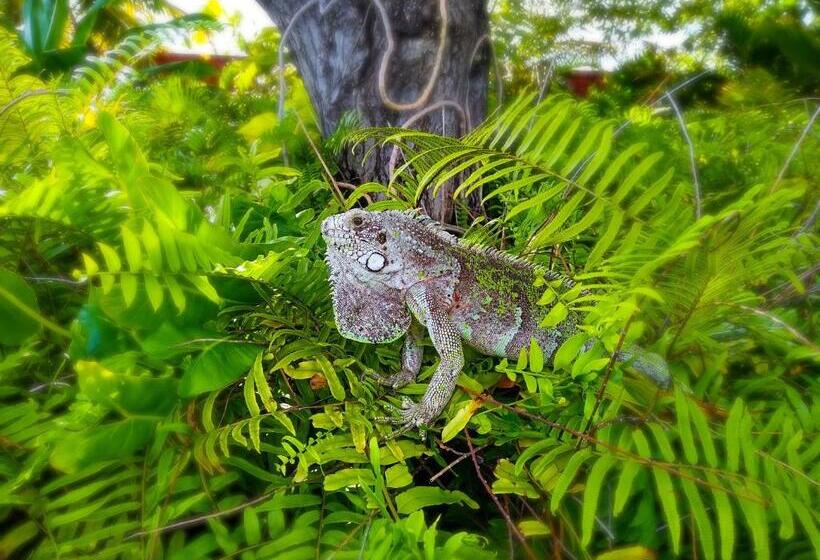 צימר Castelo Vendom Ecolodge Parajuru