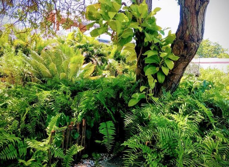 צימר Castelo Vendom Ecolodge Parajuru