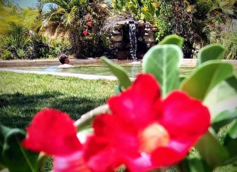 צימר Castelo Vendom Ecolodge Parajuru