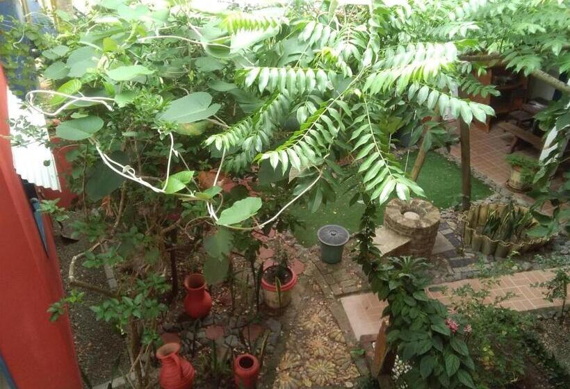 住宿加早餐 Hospedaria Cosanostra