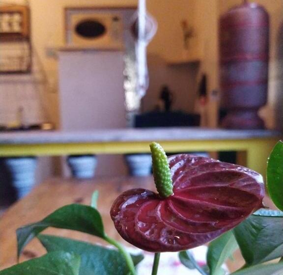 مبيت وإفطار Hostel Tiradentes