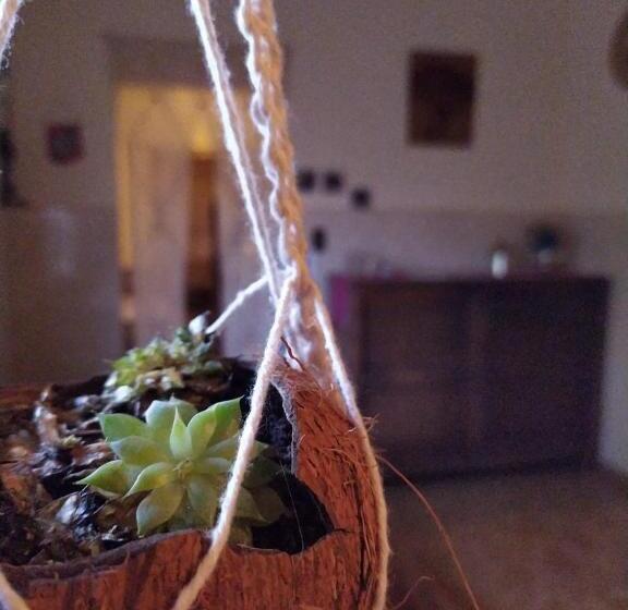 مبيت وإفطار Hostel Tiradentes