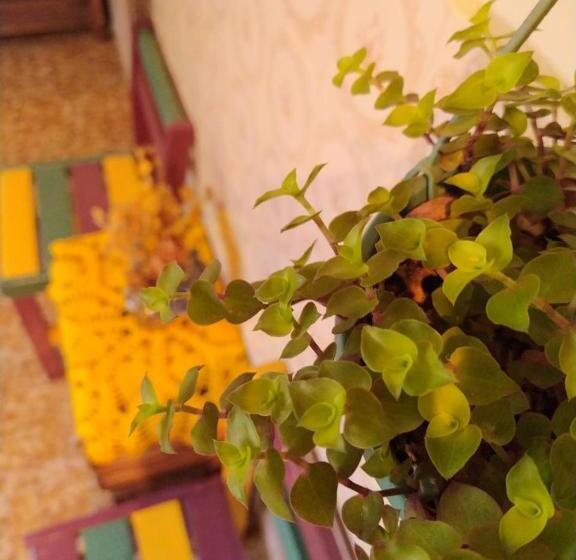 مبيت وإفطار Hostel Tiradentes