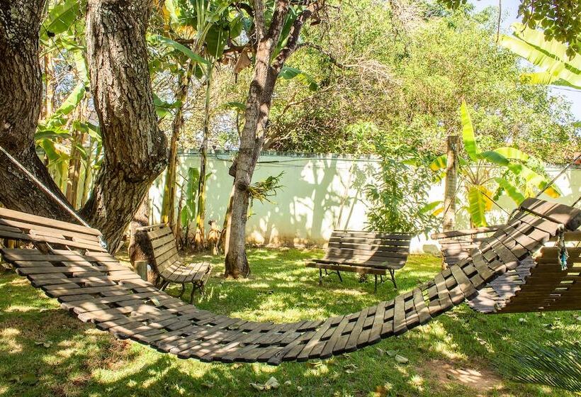 Bed and Breakfast Pousada Adega Cipó