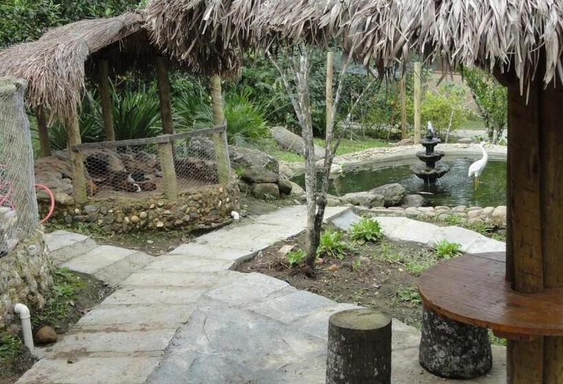 住宿加早餐  Pousada Chácara Do Rio