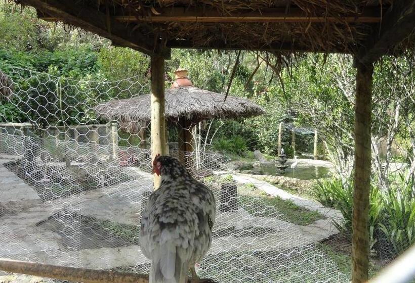 住宿加早餐  Pousada Chácara Do Rio