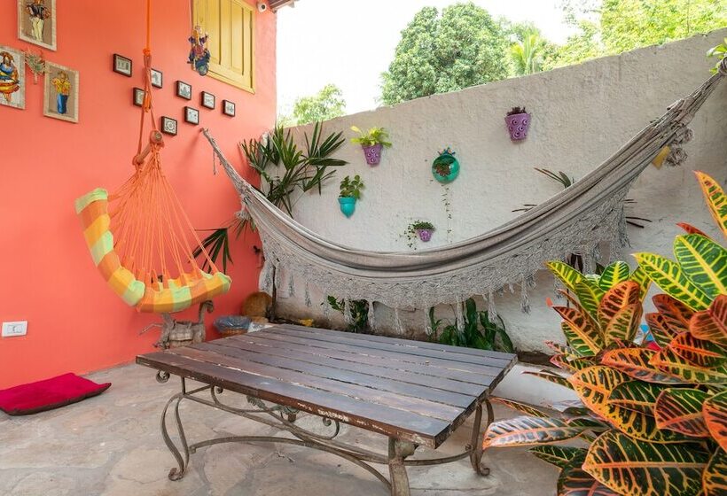 ベッドアンドブレックファースト Pousada Flor De Olinda