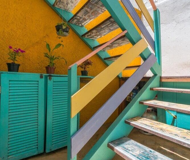 ベッドアンドブレックファースト Pousada Flor De Olinda