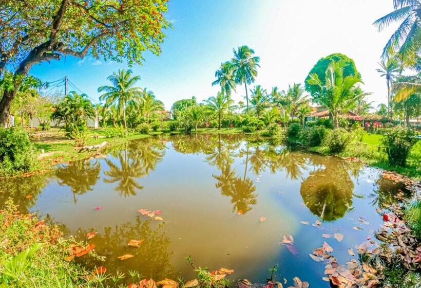 בית מלון כפרי Alma Tropical Resort