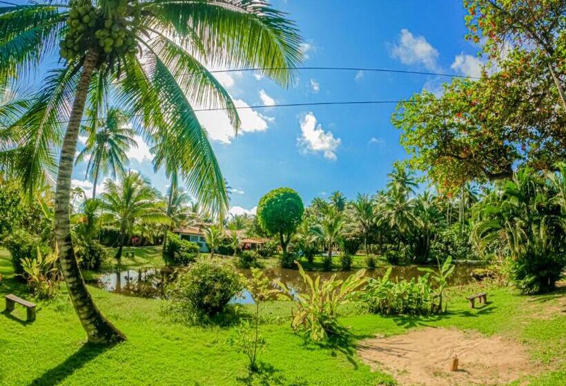 בית מלון כפרי Alma Tropical Resort