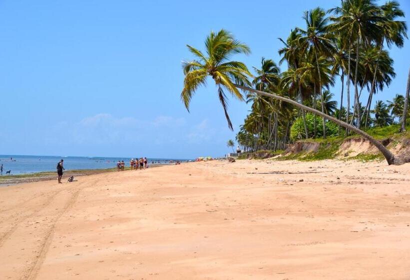 בית מלון כפרי Alma Tropical Resort