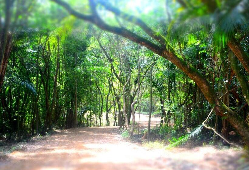 בית מלון כפרי Alma Tropical Resort