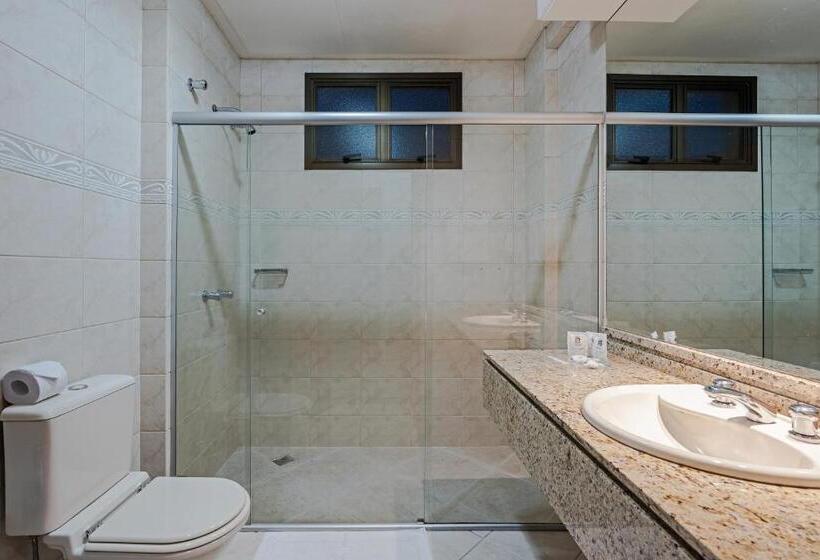 Отель Astron Ponta Grossa Plaza By Nobile