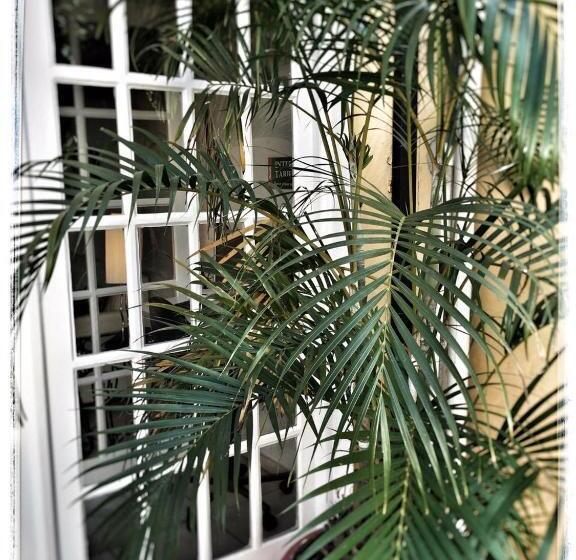 ホテル Itapira Casa Grande