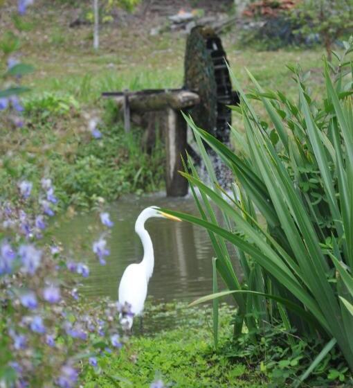 酒店 Eco Pousada Eldorado Lumiar