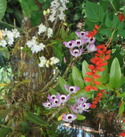 酒店 Eco Pousada Eldorado Lumiar