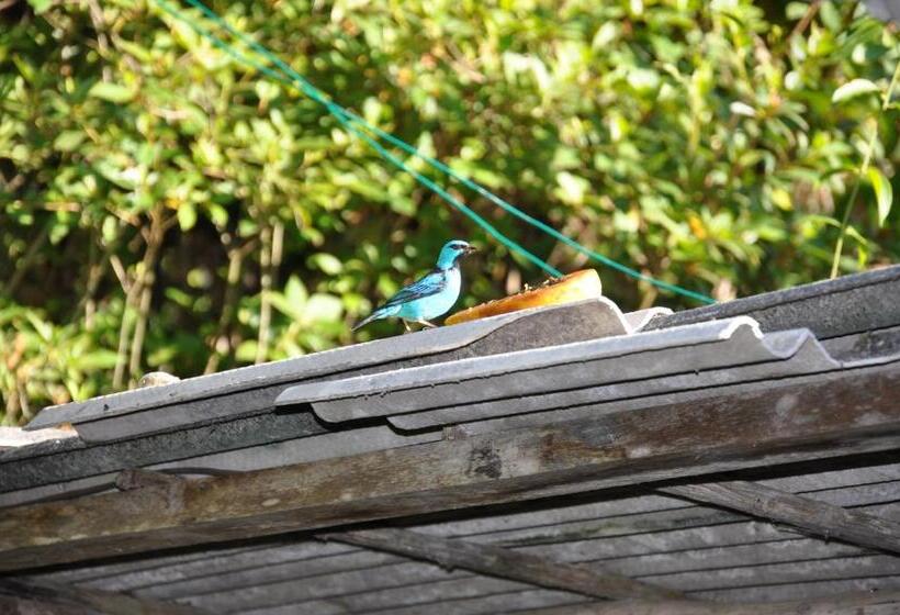 酒店 Eco Pousada Eldorado Lumiar