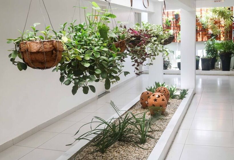 酒店 Encantos De Penedo Alagoas