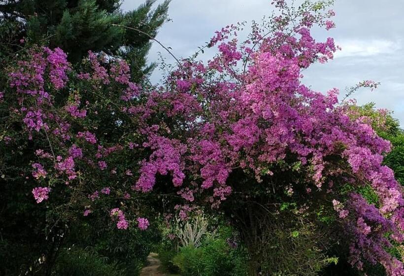 בית מלון כפרי Fazenda Colibri