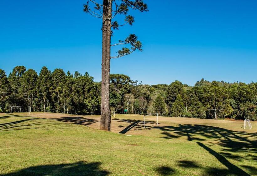 Отель Lagoa Parque