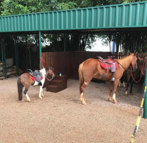 Отель Lagoa Parque