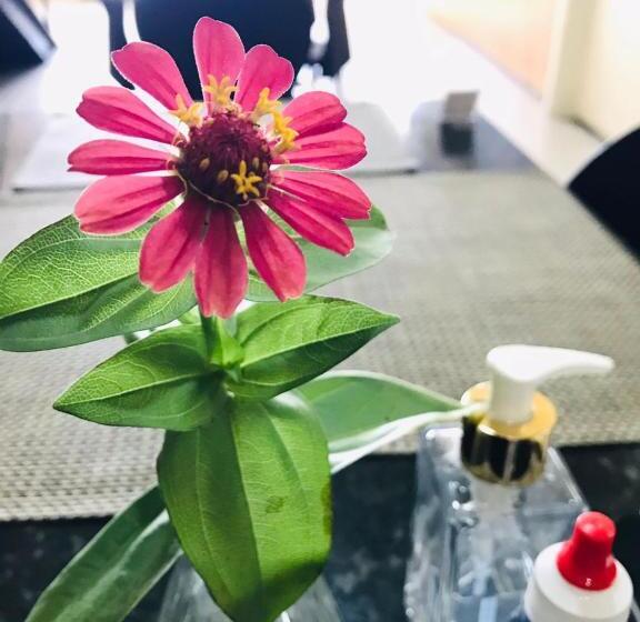 בית מלון כפרי Monólitos