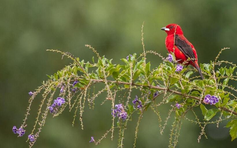 Отель Parador Lumiar
