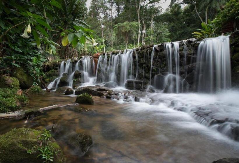 Отель Parador Lumiar