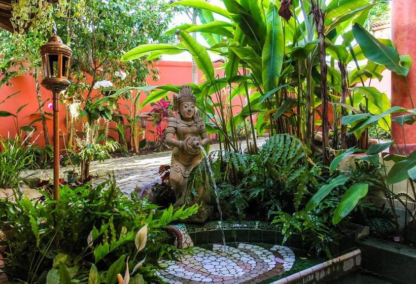 هتل Sagui Boutique