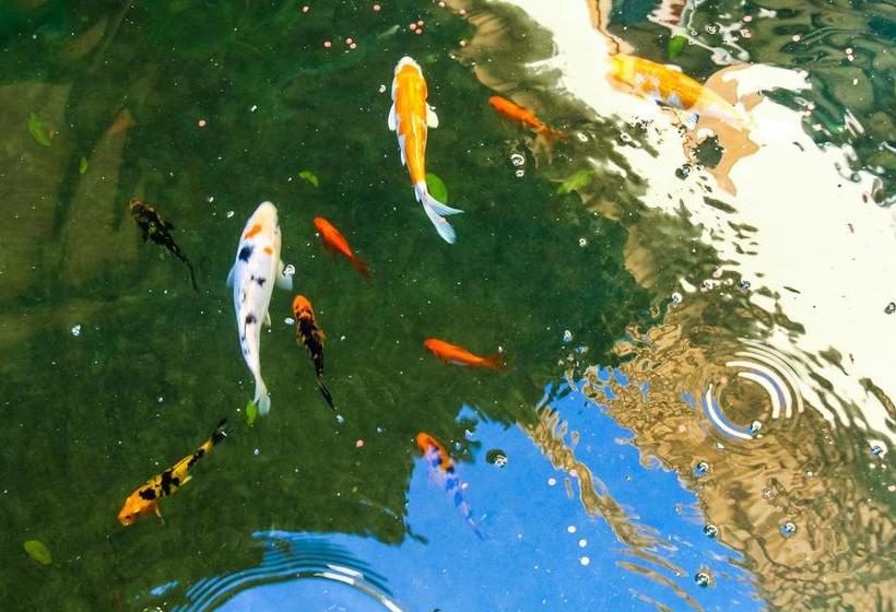 هتل Sagui Boutique