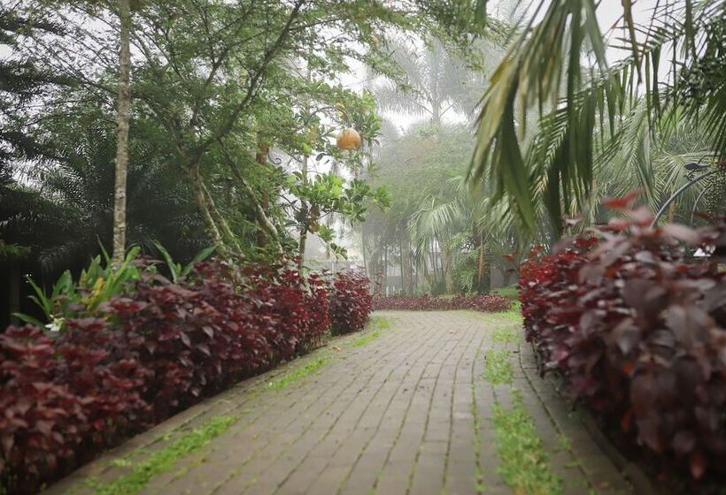 فندق Vale Das Nuvens