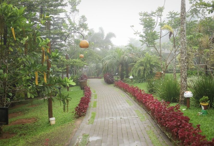 فندق Vale Das Nuvens