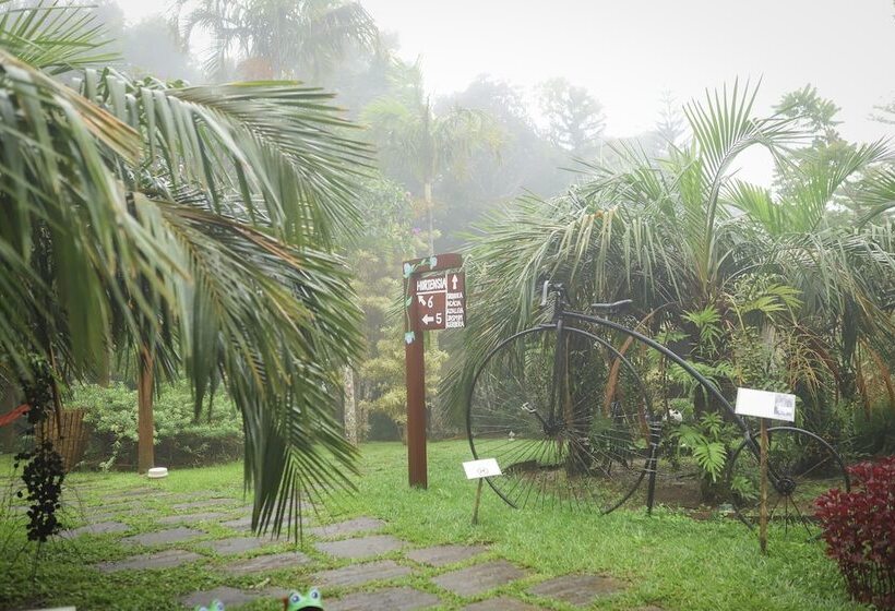 فندق Vale Das Nuvens