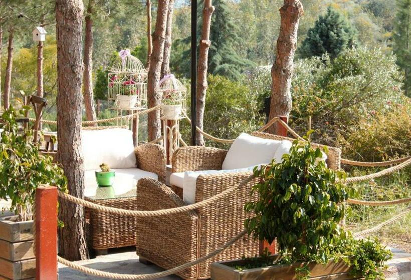 Olbios Marina Resort