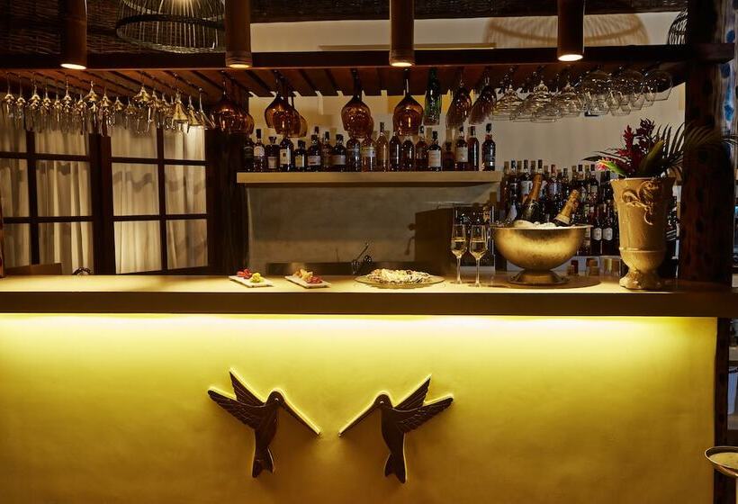 渡假胜地 Beija Flor Exclusive Hotel & Spa